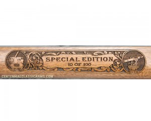 Tribute to the American Surveyor