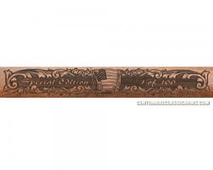 Permian Basin Gun